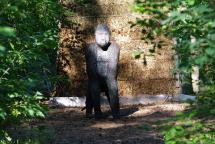 Gorilla, Weitschuss 52m